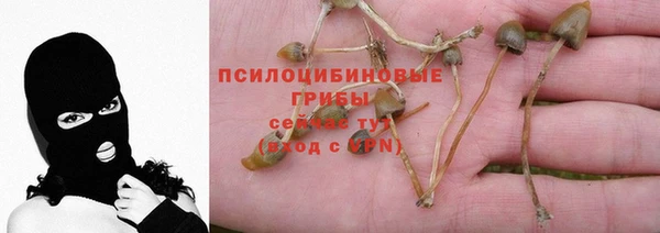 ГАЛЛЮЦИНОГЕННЫЕ ГРИБЫ Горнозаводск