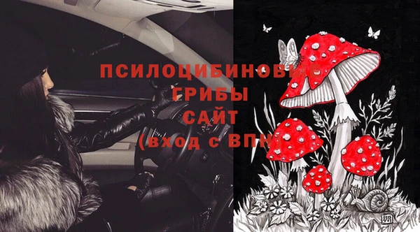 ГАЛЛЮЦИНОГЕННЫЕ ГРИБЫ Горнозаводск
