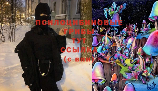 ГАЛЛЮЦИНОГЕННЫЕ ГРИБЫ Горнозаводск