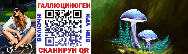 Купить где  Благодарный  Галлюциногенные грибы MAGIC MUSHROOMS 