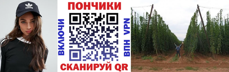 Шишки марихуана THC 21%  Купить где  Благодарный 